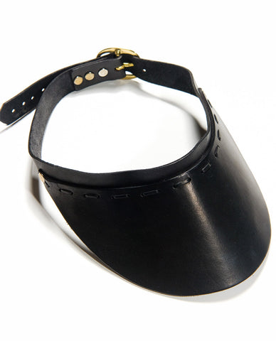 VISION VISOR