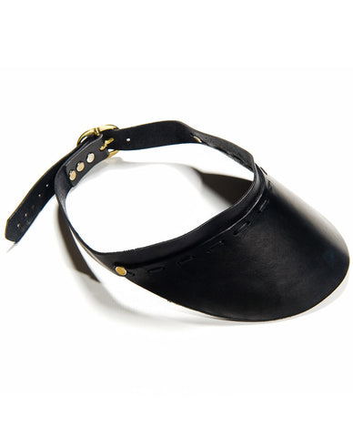 VISION VISOR